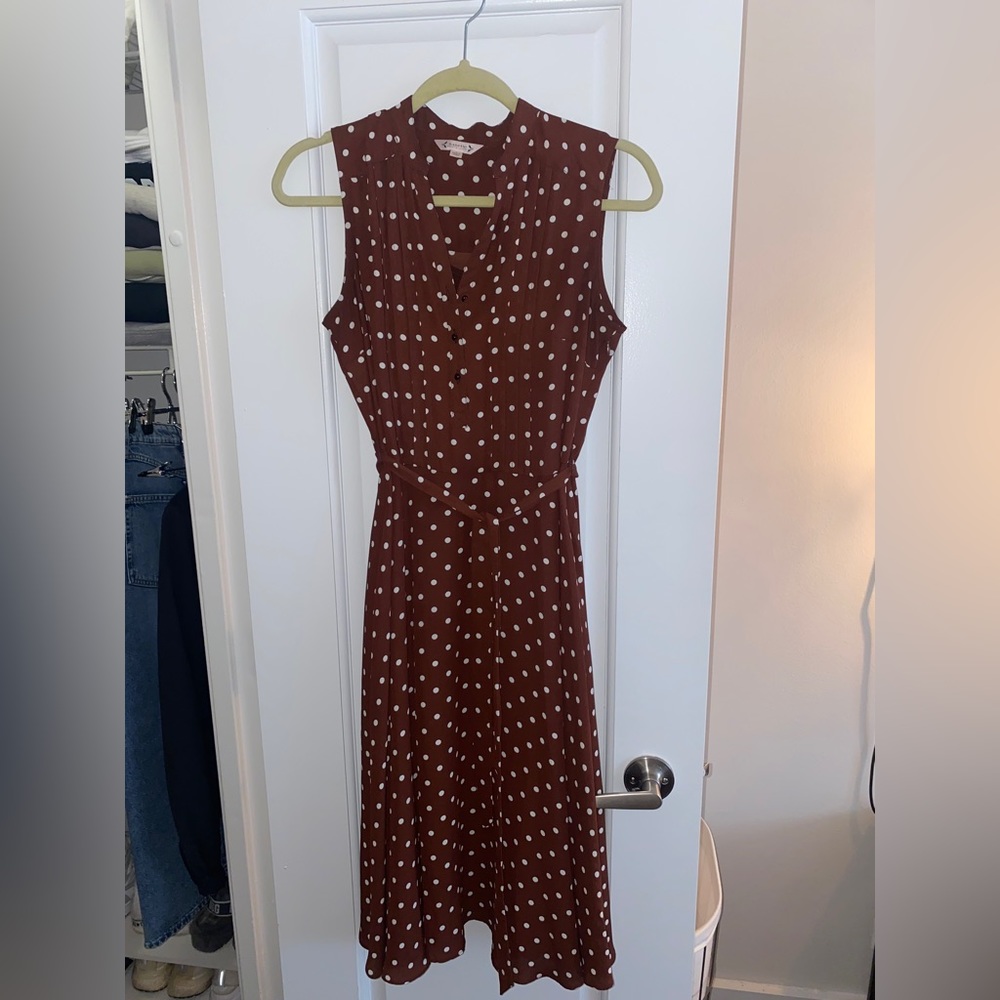 Brown polka dot dress
